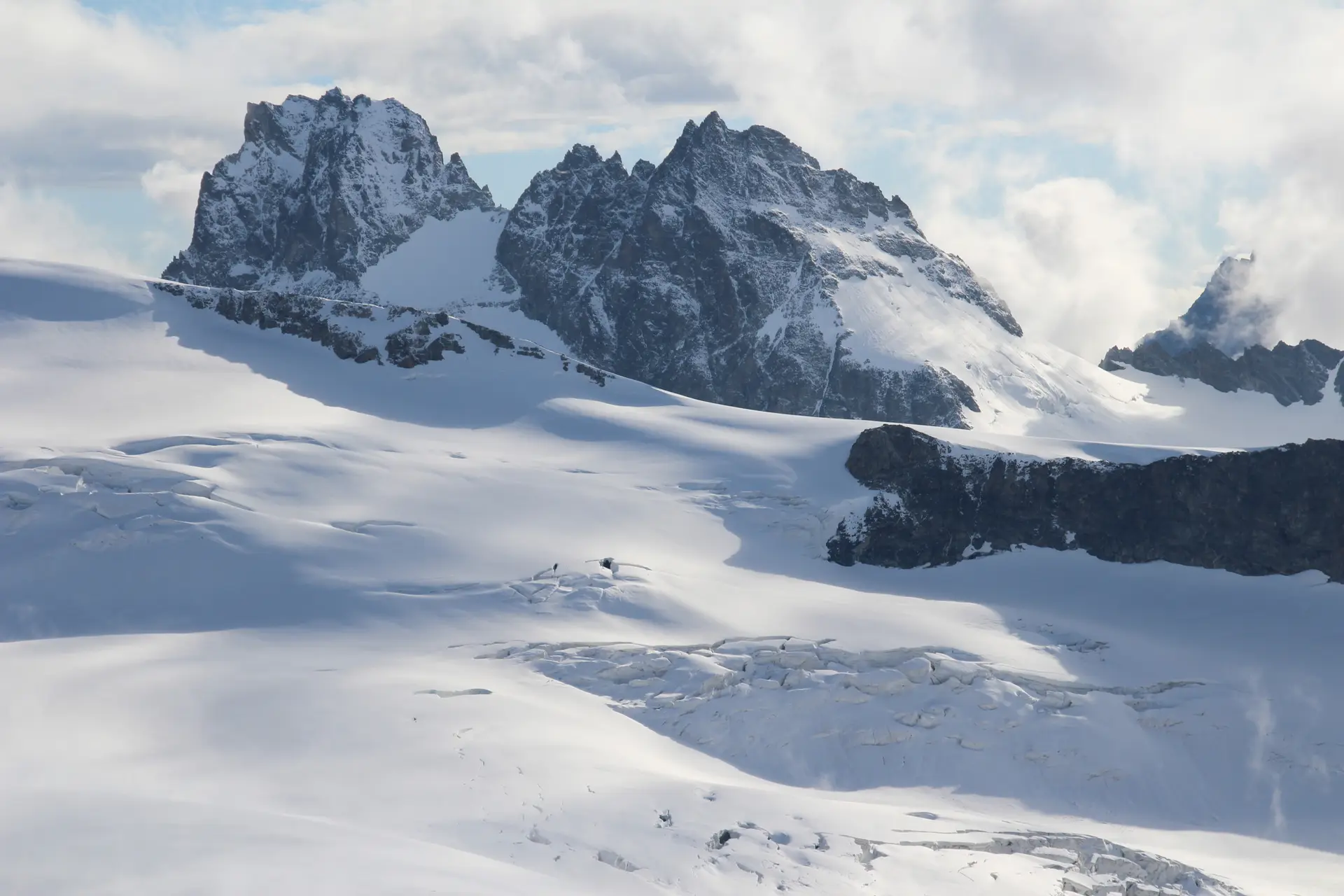 Les Bouquetins veillent sur le glacier de Ferpècle